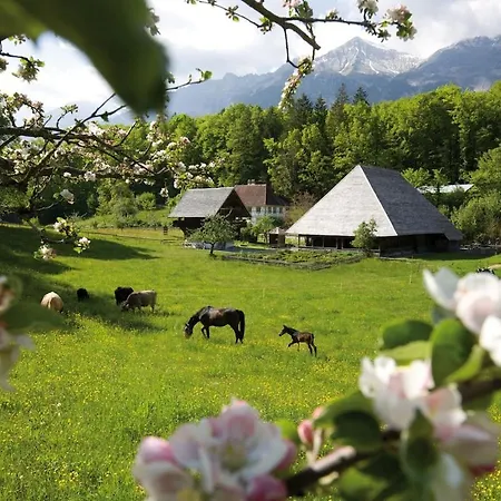 Alpine Feeling & Lakeside