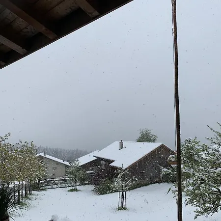 Alpine Feeling & Lakeside