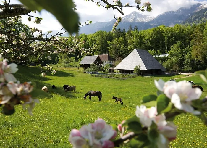 Alpine Feeling & Lakeside