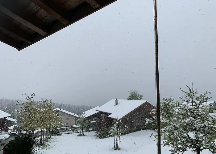 Alpine Feeling & Lakeside